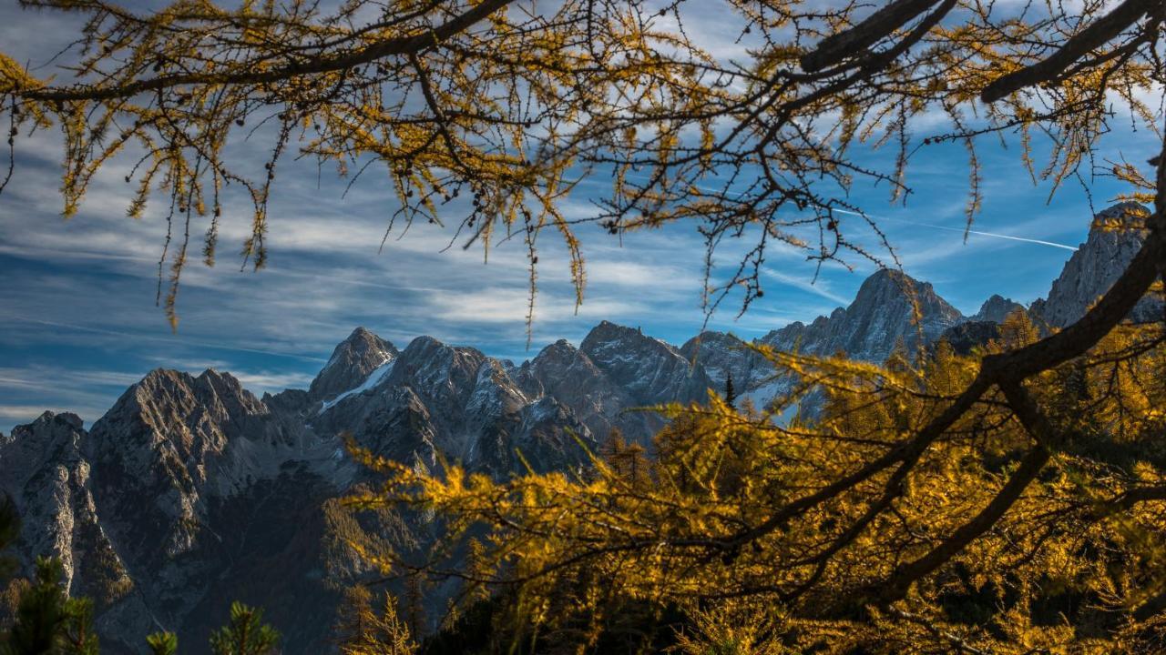 Apartmaji Prton Bovec Dış mekan fotoğraf